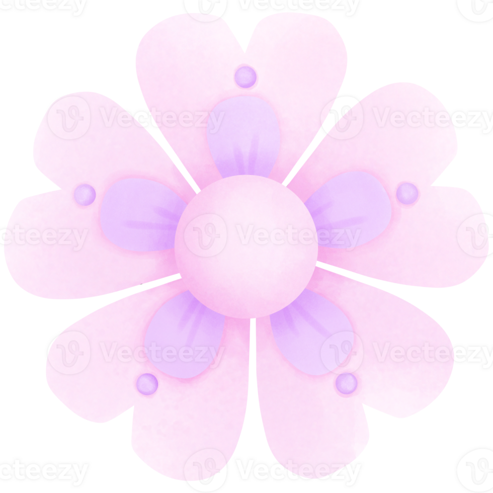 pink and purple flowers png
