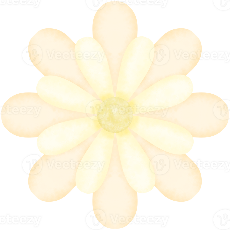 The yellow flowers have 8 petals with small double petals png