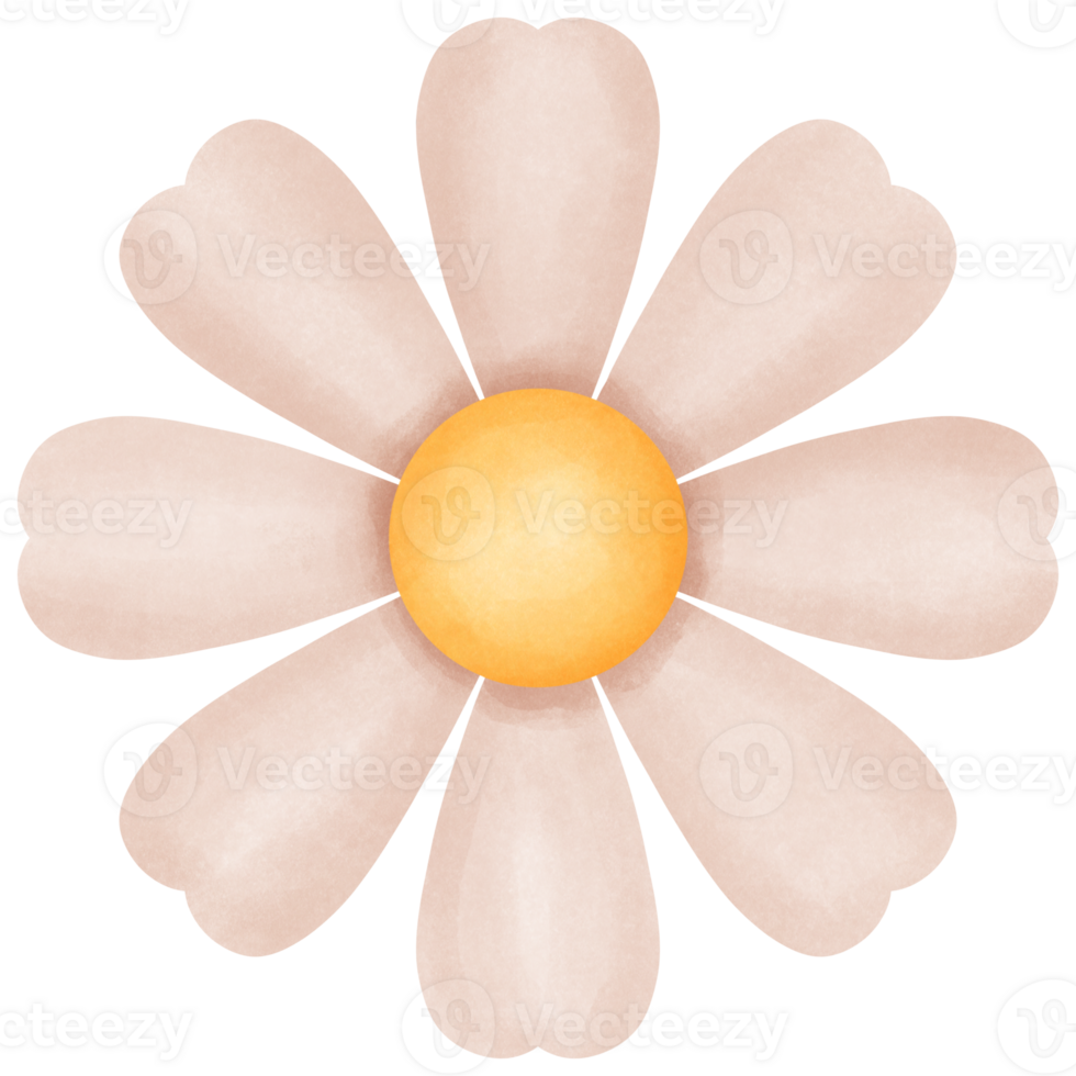Flowers are dark orange with 8 petals png
