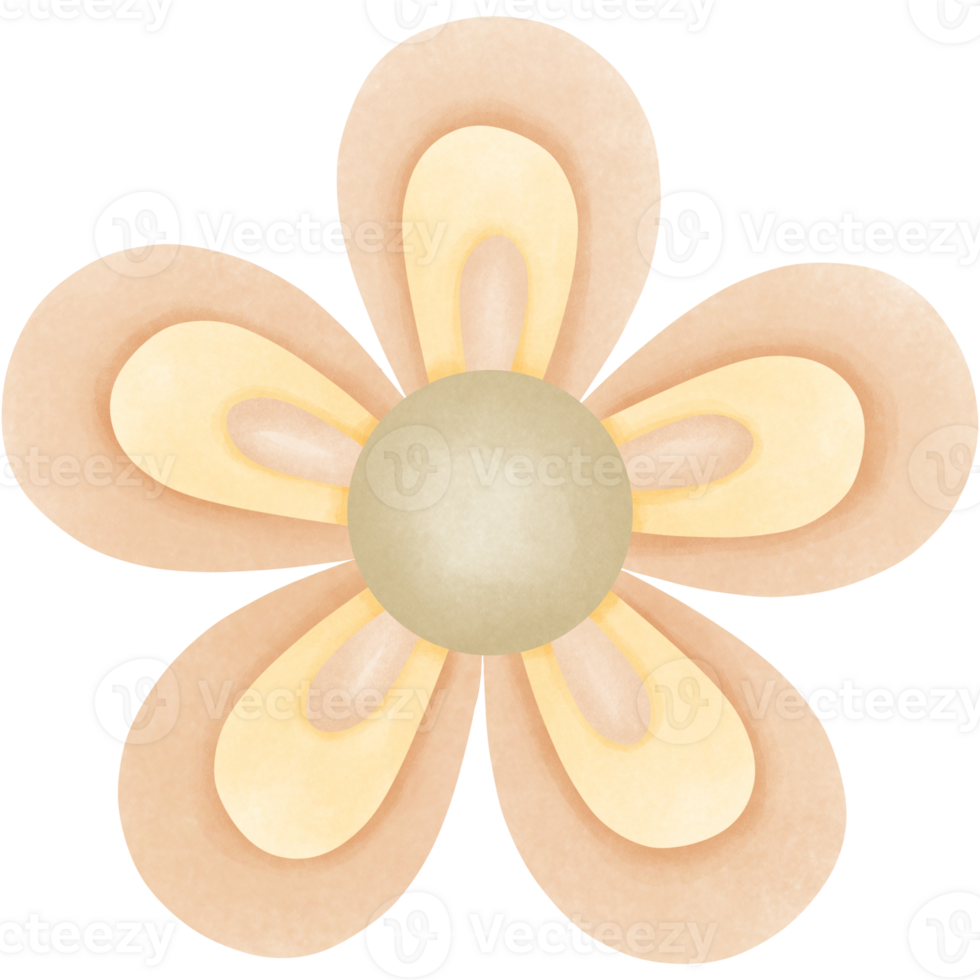 pastel orange flowers png
