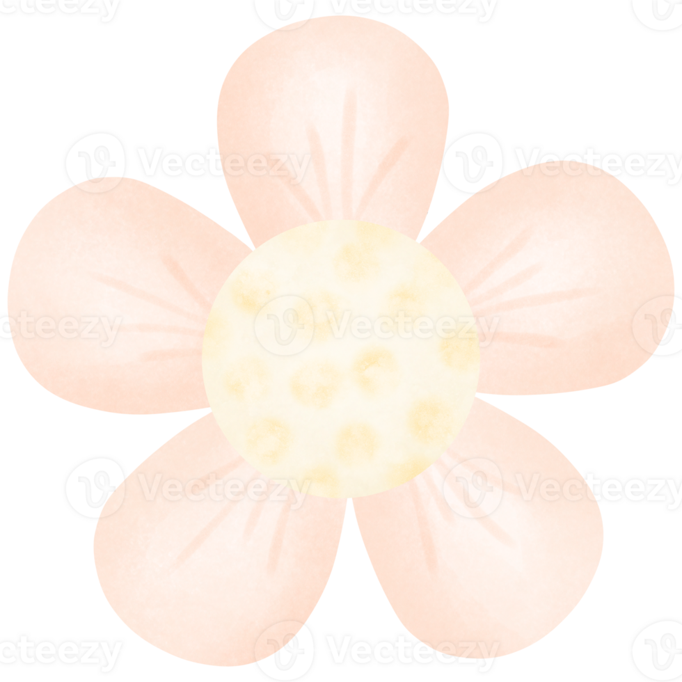 Pastel orange flowers with large petals png
