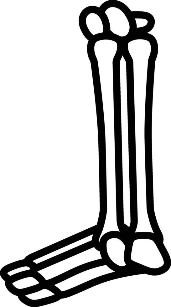 A skeleton leg is shown in black and white vector