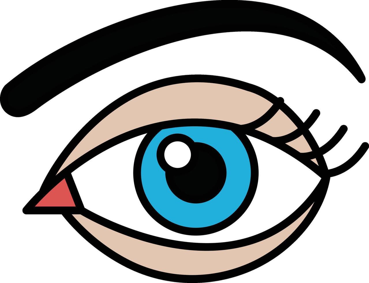 A black and white drawing of an eye with a black eyebrow vector
