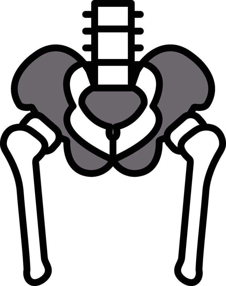 Hip skeleton in line drawing style vector