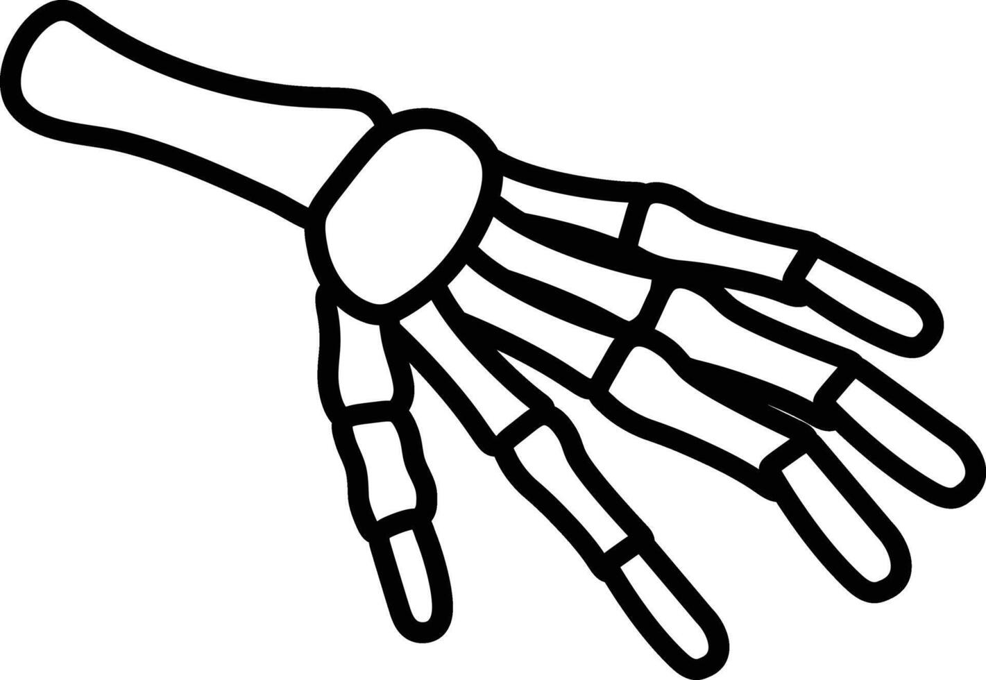 A skeleton hand is drawn in black on a white background vector