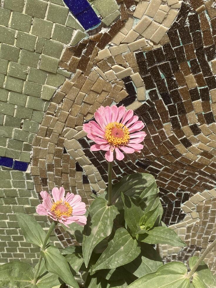 Flower standing in front of a mosaic wall photo