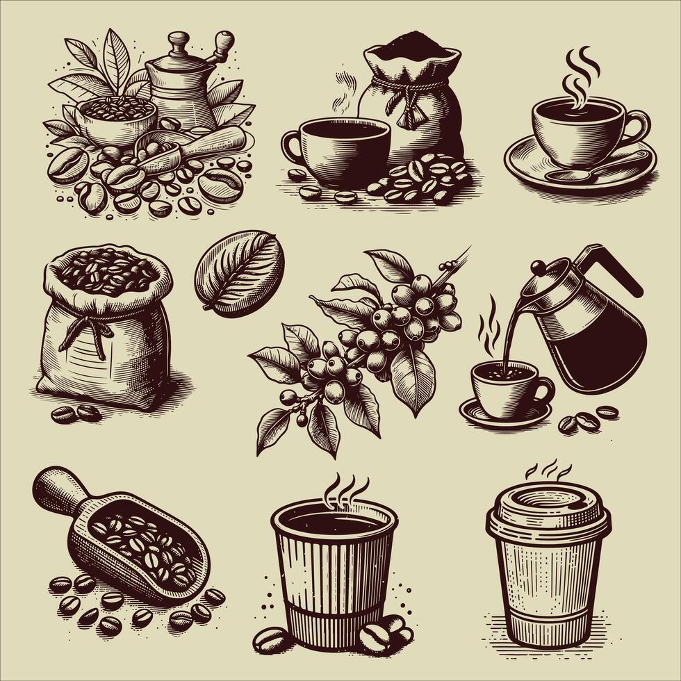vintage hand drawn coffee illustration set vector