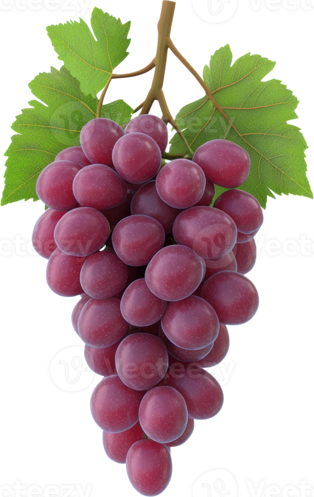 Vibrant Bunch of Red Grapes with Fresh Green Leaves png
