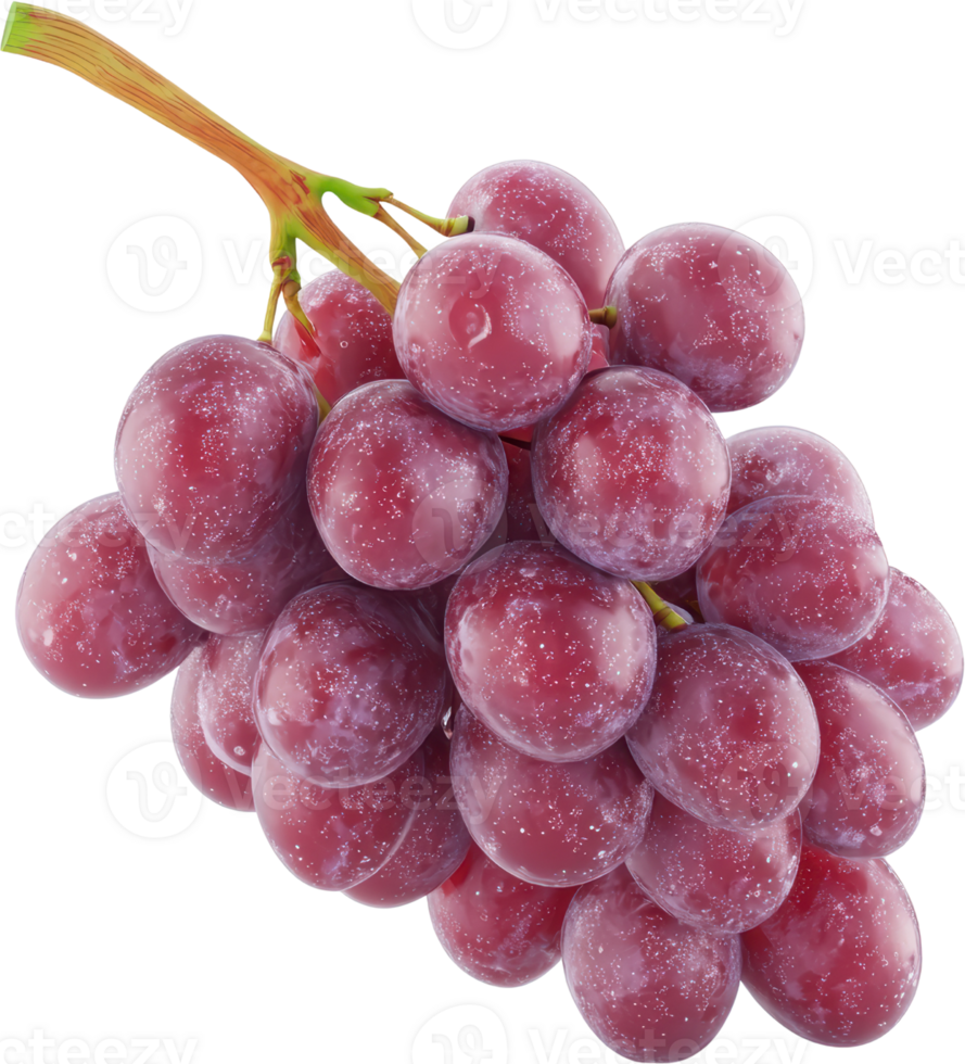 Fresh and Juicy Cluster of Red Grapes Hanging from a Stem png