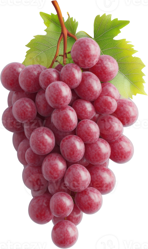 Vibrant Cluster of Ripe Red Grapes with Fresh Green Leaves png