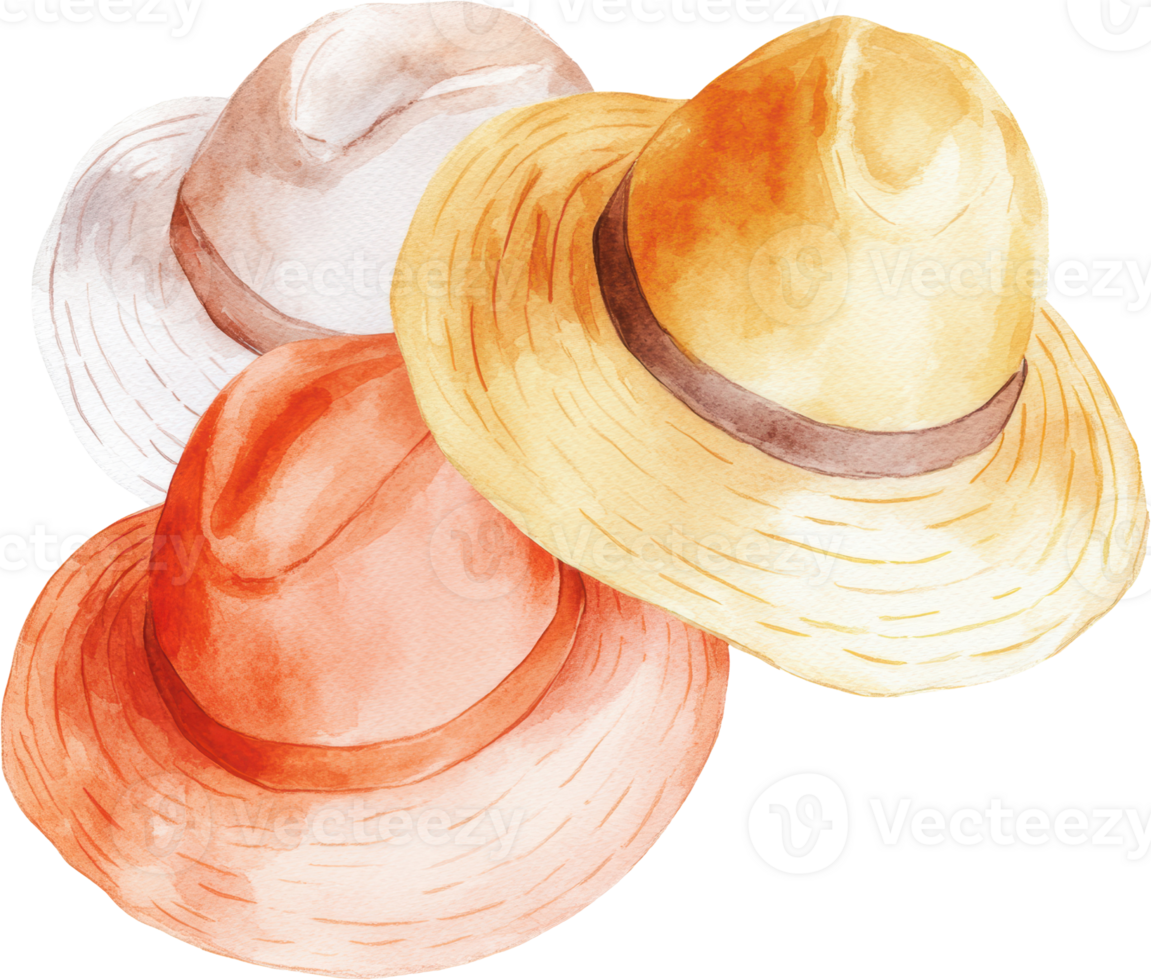 Vibrant Watercolor Hats Cluster png