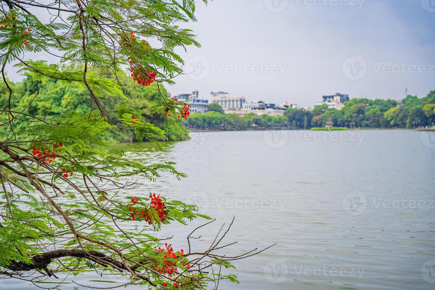 Red The Huc Bridge and Ngoc Son Temple in the center of Hoan Kiem Lake, Hanoi, Vietnam. Famous destination of Vietnam photo