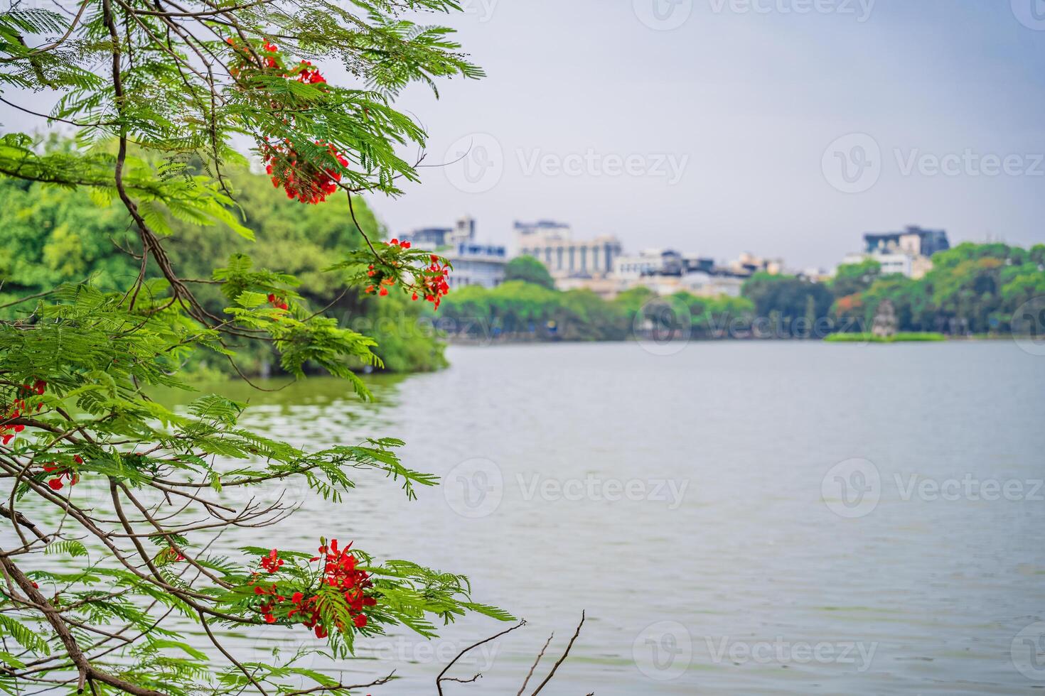 Red The Huc Bridge and Ngoc Son Temple in the center of Hoan Kiem Lake, Hanoi, Vietnam. Famous destination of Vietnam photo