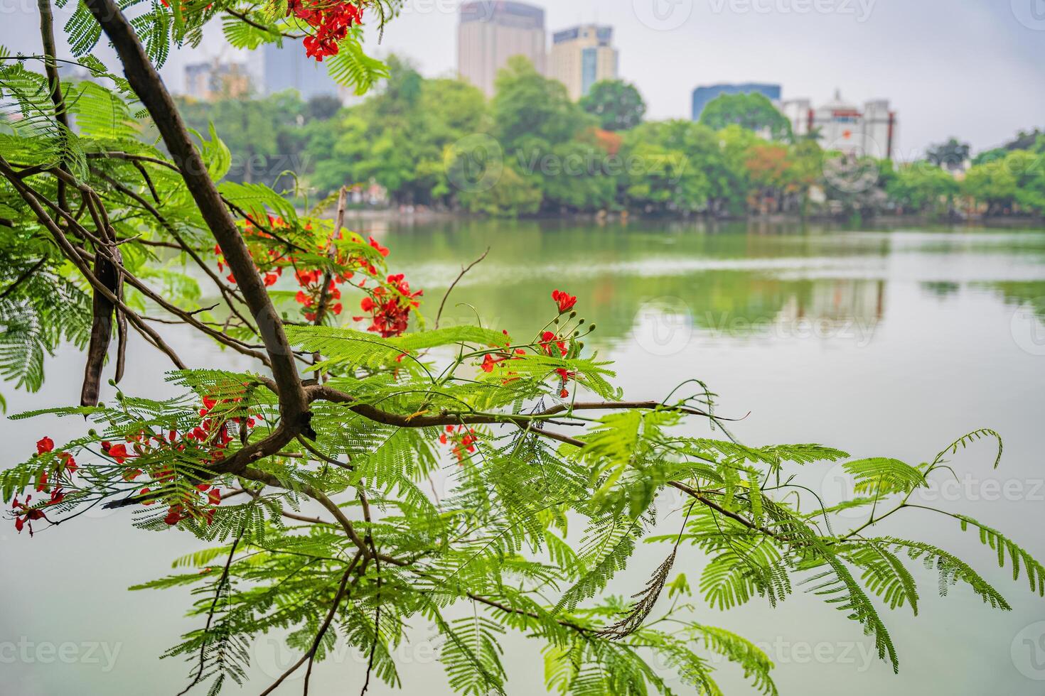 Hoan Kiem lake or Sword lake, Ho Guom in Hanoi, Vietnam with Turtle Tower, on clear day with blue sky and white clouds photo