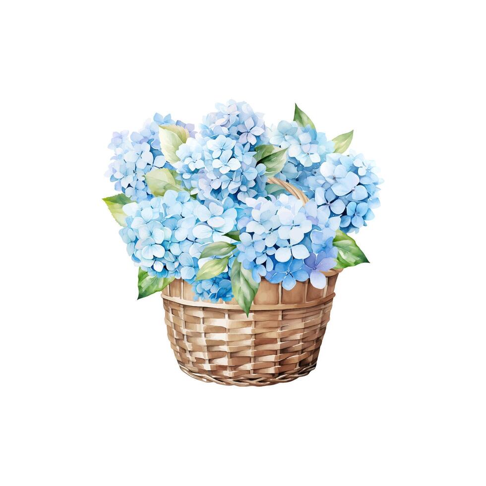 Watercolor set of blue hydrangea bouquet vector