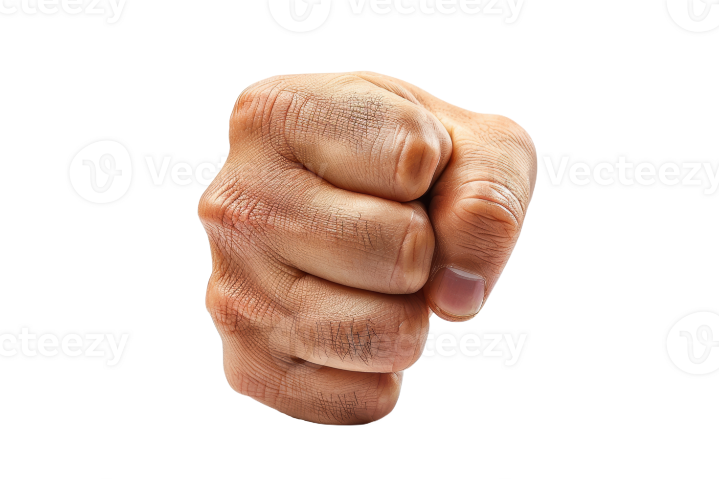 A Determined Fist png