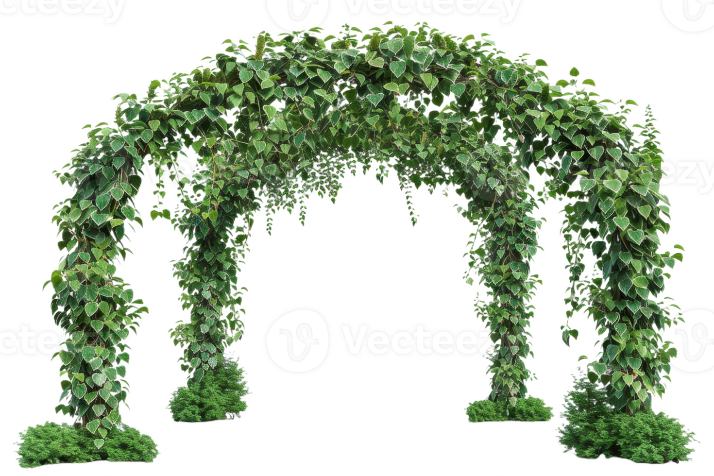 Lush Ivy Archway in a Tranquil Garden png