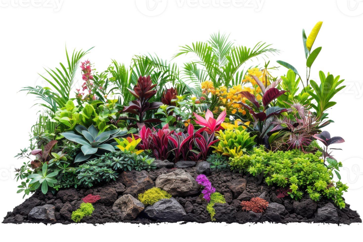 Lush Tropical Garden With Vibrant Blooms png