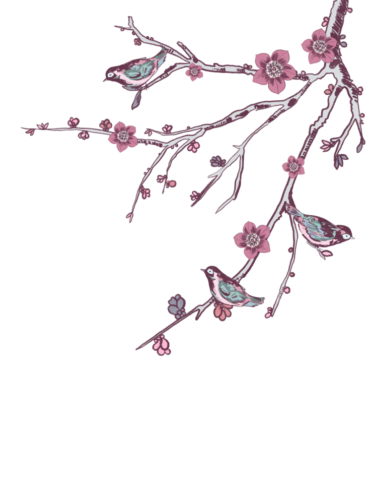 Blossom tree Clip art, set of elements for design Sakura tree and little bird illustration. In chinoiserie png