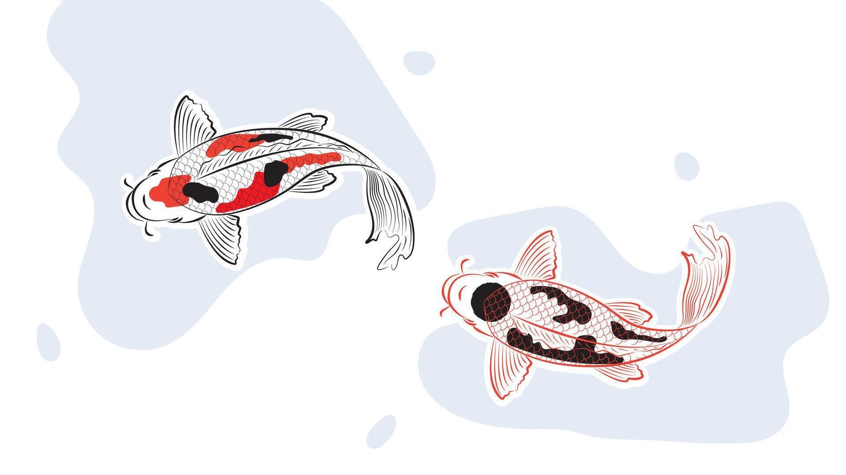 Japanese koi fish drawing illustration isolated in red circle bakground with blank space, drawing line vector
