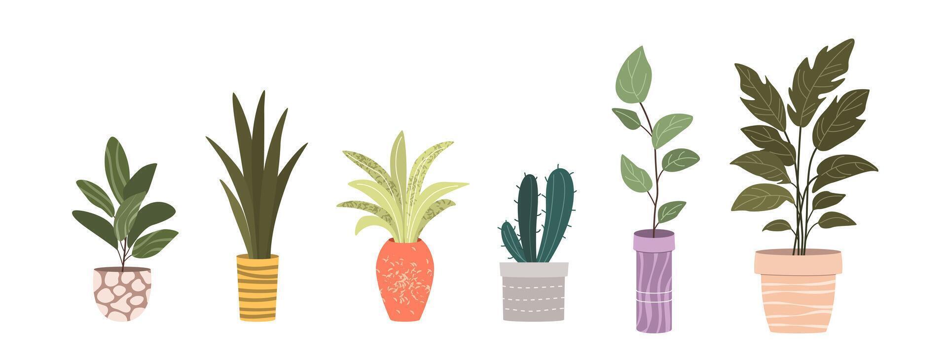 Plants in Flowerpots. Home Decor. A Collection of Various Houseplants. Hand-Drawn Illustrations on White Background. Isolated and Ready for Use. vector