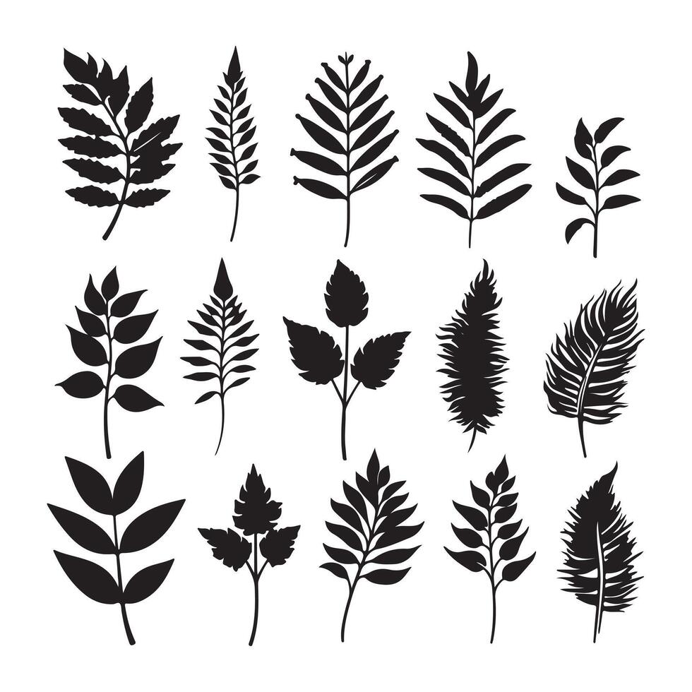 Set of black silhouettes of leaves on a white background vector