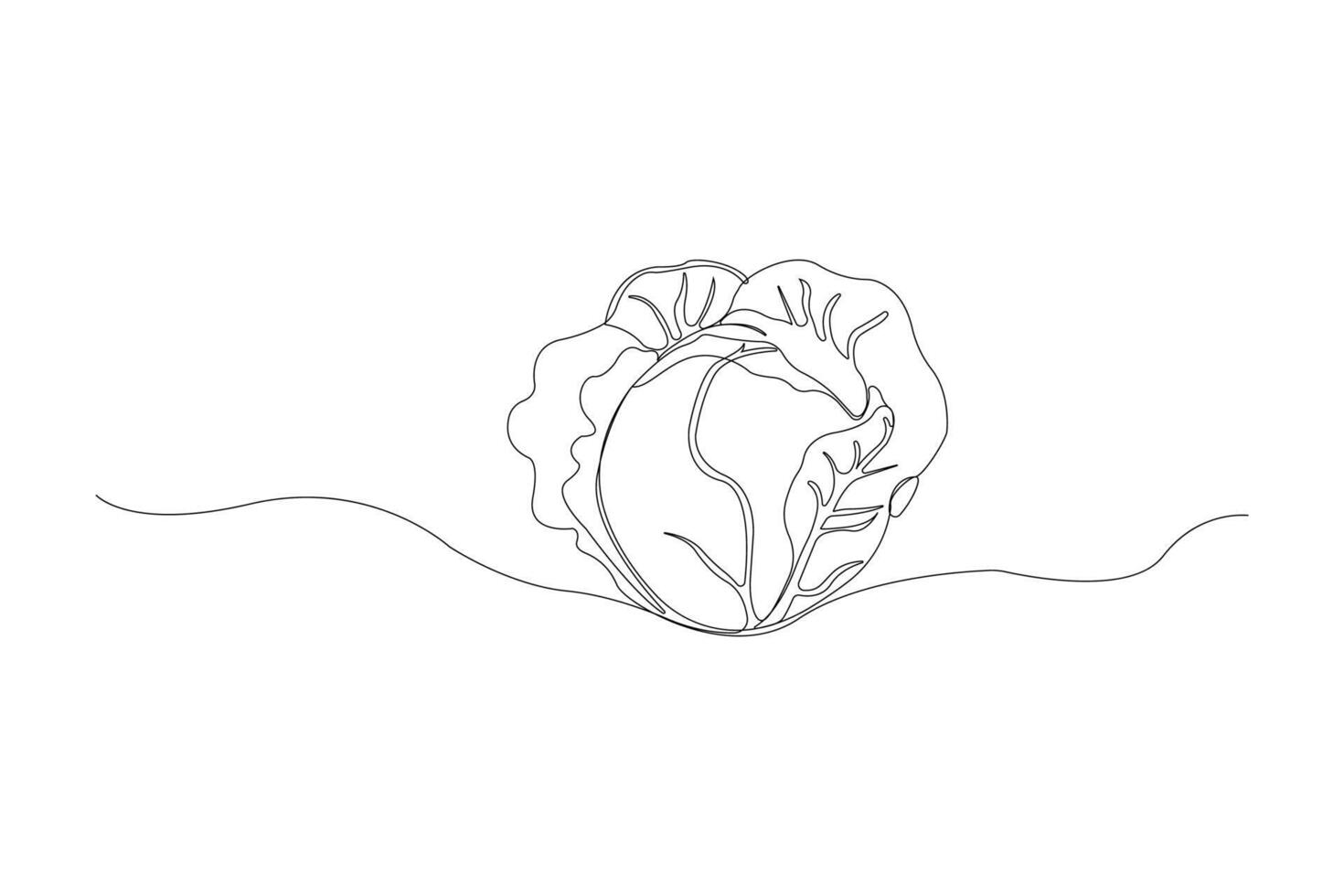 Hand-drawn cabbage continuous outline isolated on white background. Cabbage one line art drawing vector