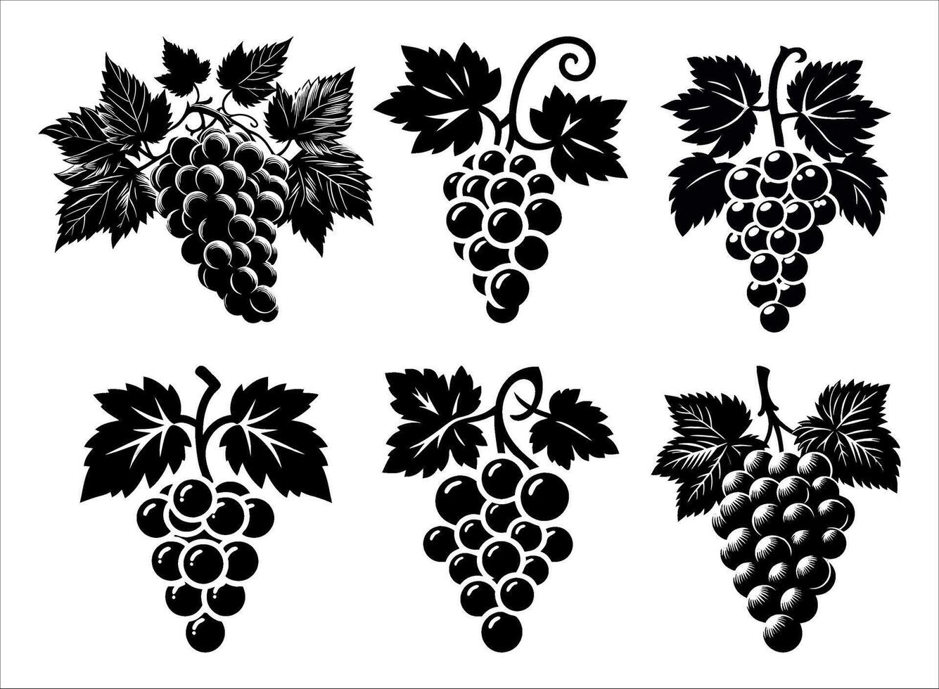 set of grapes with leaves silhouette illustration clipart, berry vine juice fruits branch harvesting vector