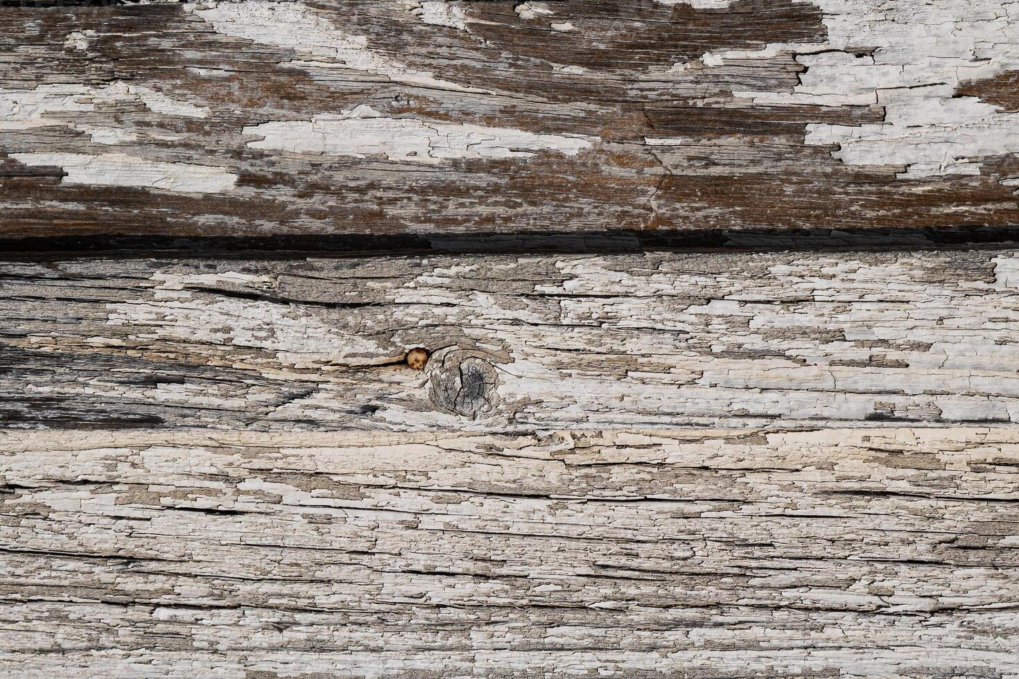 Wood abstract texture. Surface grunge backdrop. Dirty wooden effect pattern. Material background. photo