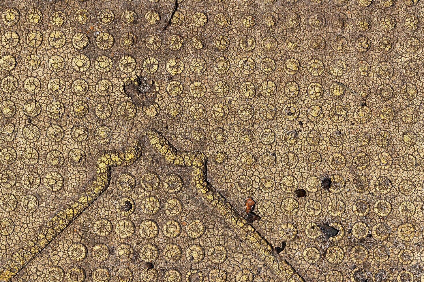 Plastic abstract texture. Surface grunge backdrop. Dirty effect pattern. Material background. photo