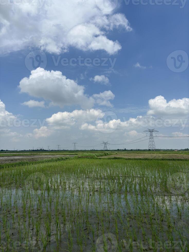 Overall impression is one of tranquility and vastness. photo