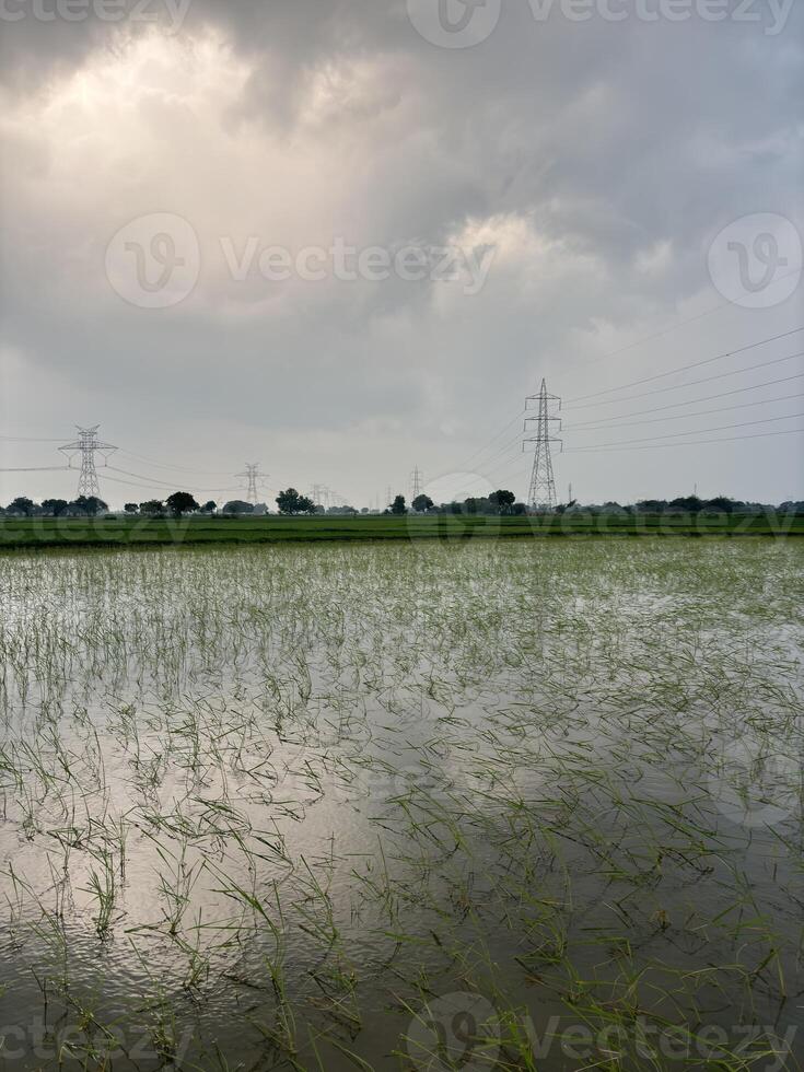 Overall atmosphere is one of serenity and contemplation, inviting the viewer to appreciate the vastness and richness of the landscape. photo
