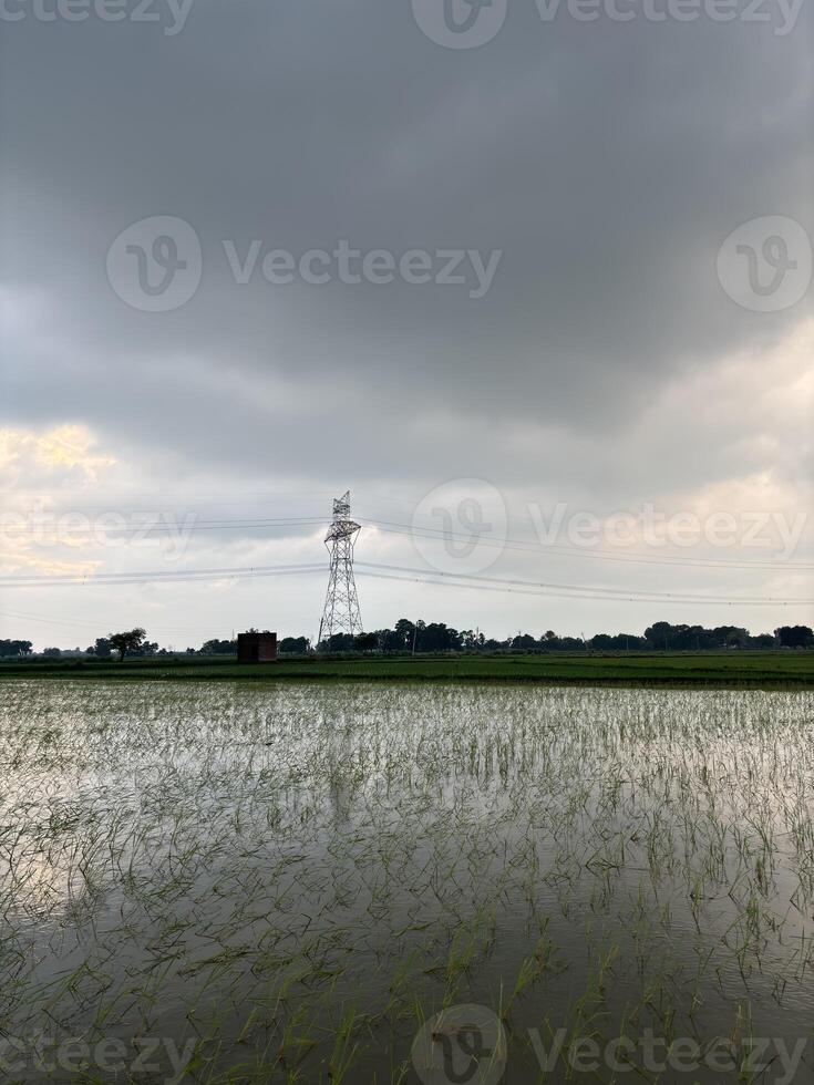 overall atmosphere is one of serenity and contemplation, inviting the viewer to appreciate the vastness and richness of the landscape. photo