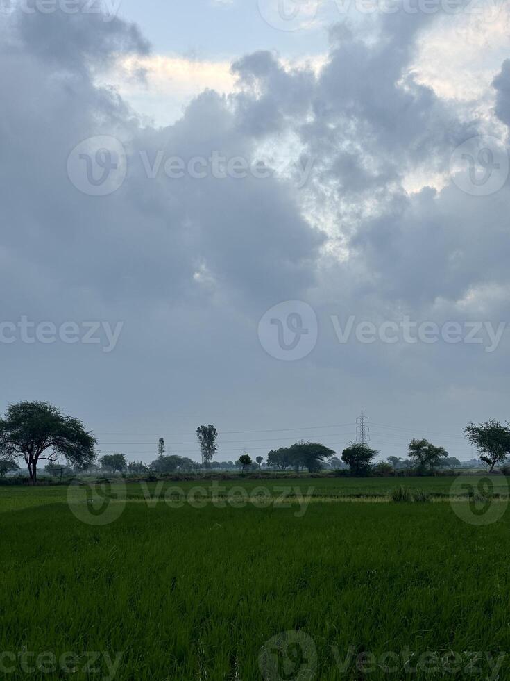 atmosphere is one of tranquility and peace, inviting the viewer to soak in the beauty of the rural landscape. photo