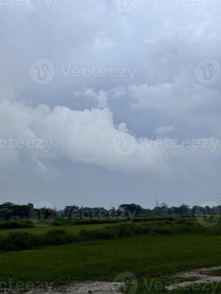 overall atmosphere is one of serenity and contemplation, inviting the viewer to appreciate the vastness and richness of the landscape. photo