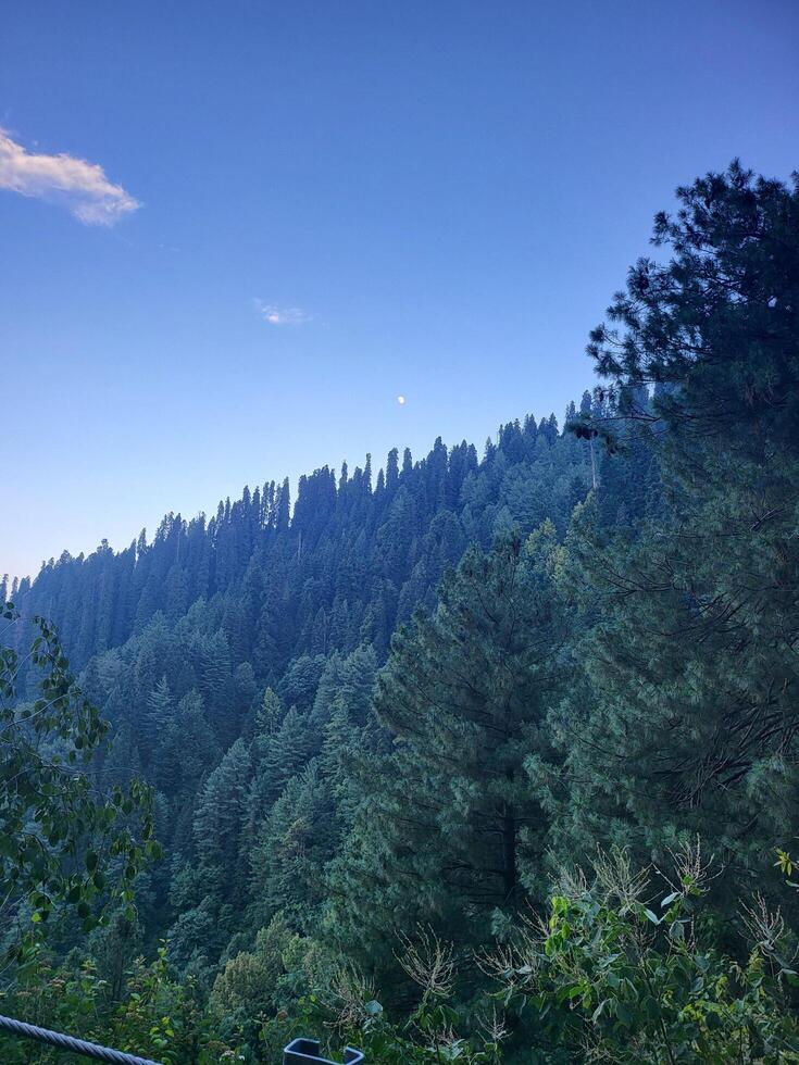 landscape with sky photo