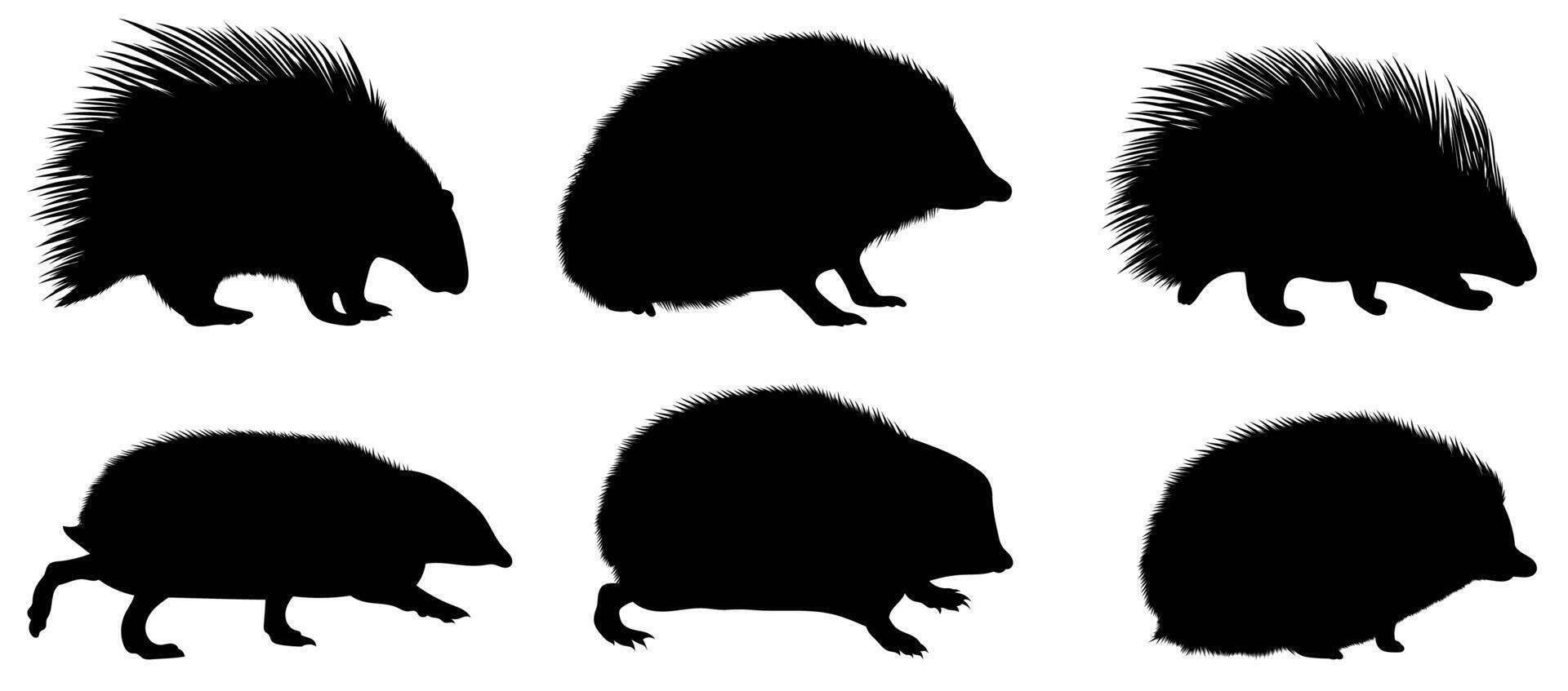 Hedgehog silhouettes illustration set vector