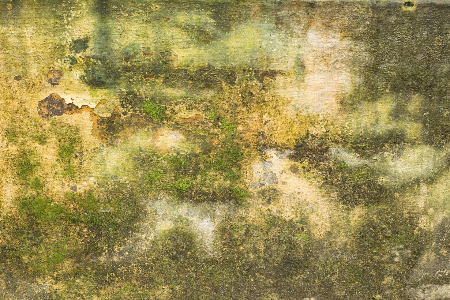 retro brown background photo