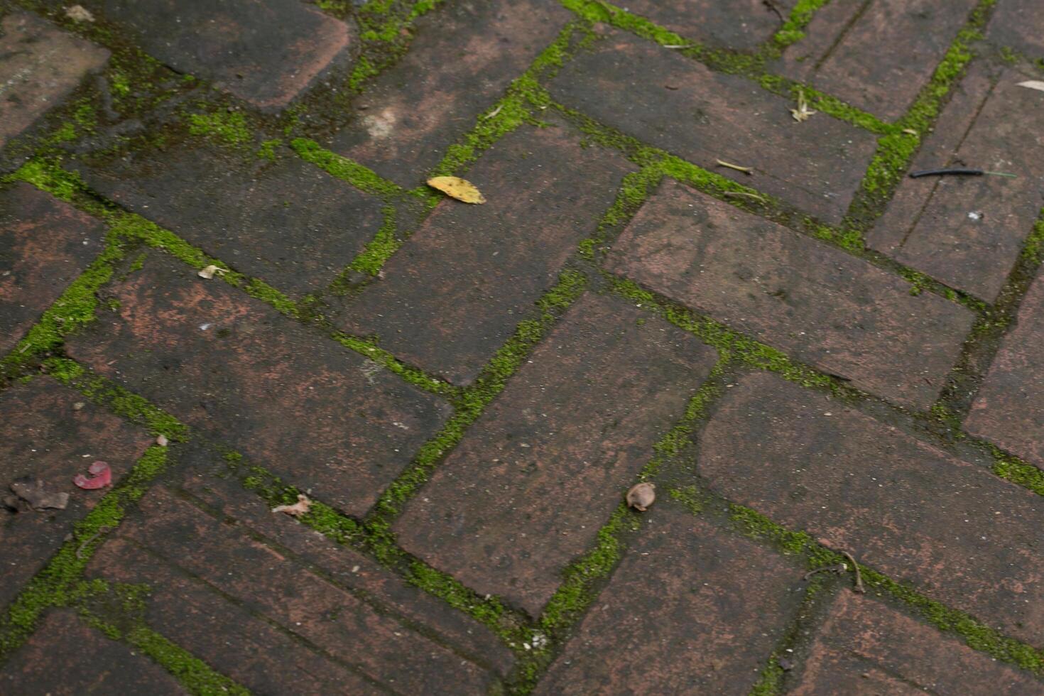 Brown brick pattern background photo