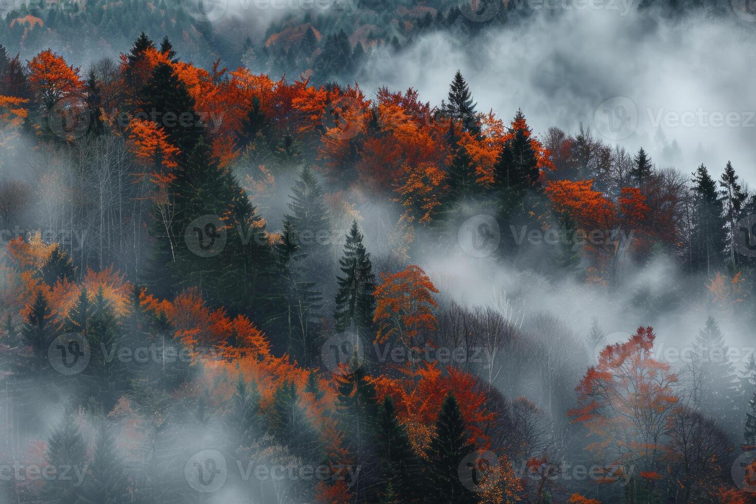 A path passing through a forest grove. A haze in the forest on a hill. The spring period in the forest. The atmosphere of the spring forest and cloudy weather. photo