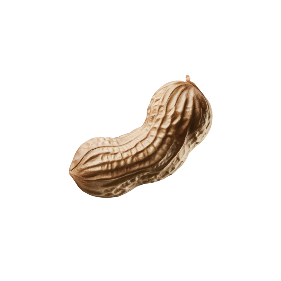 Picture of shelled nuts with a clear backdrop png