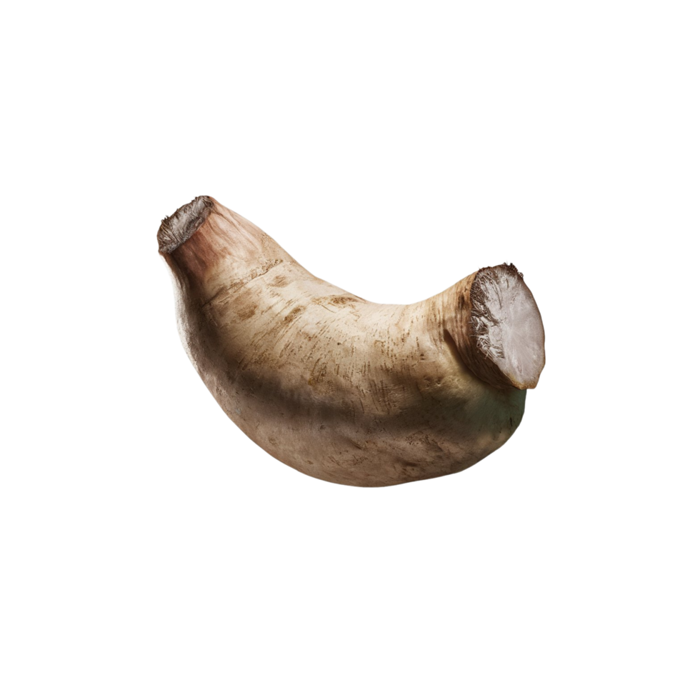 Photo of fresh cassava with a transparent and natural background png