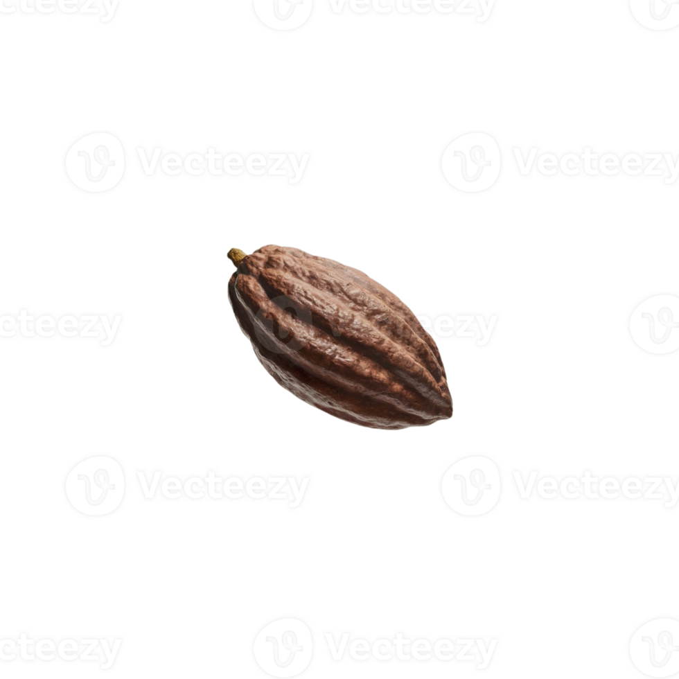 a single cocoa pod on a transparent background png