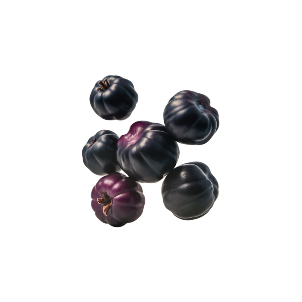 black currant on a branch with leaves and berries png