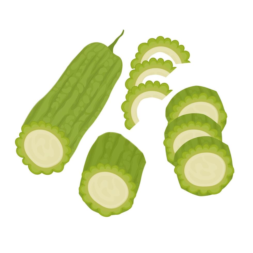 Illustration Logo Clip Art Set of a Bitter Melon or Bitter Gourd Slice vector