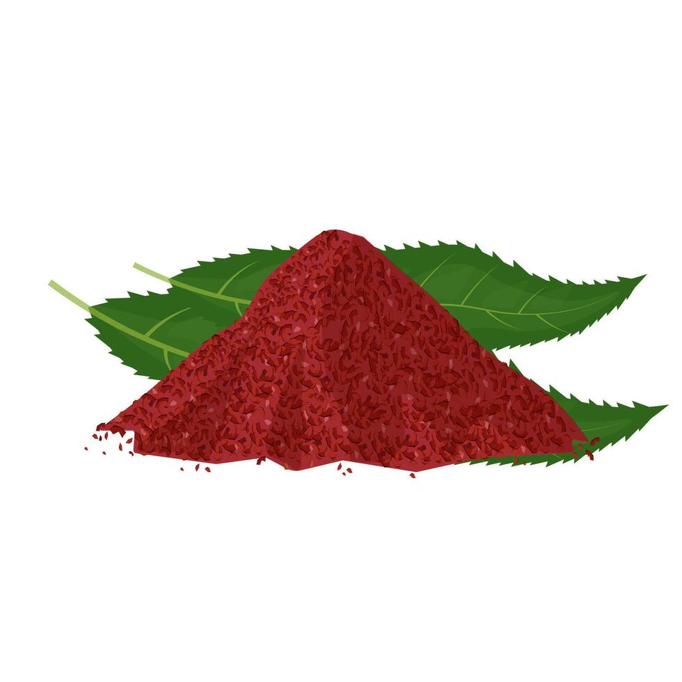 Illustration Logo Clip Art Dry Sumac Spice Heap vector