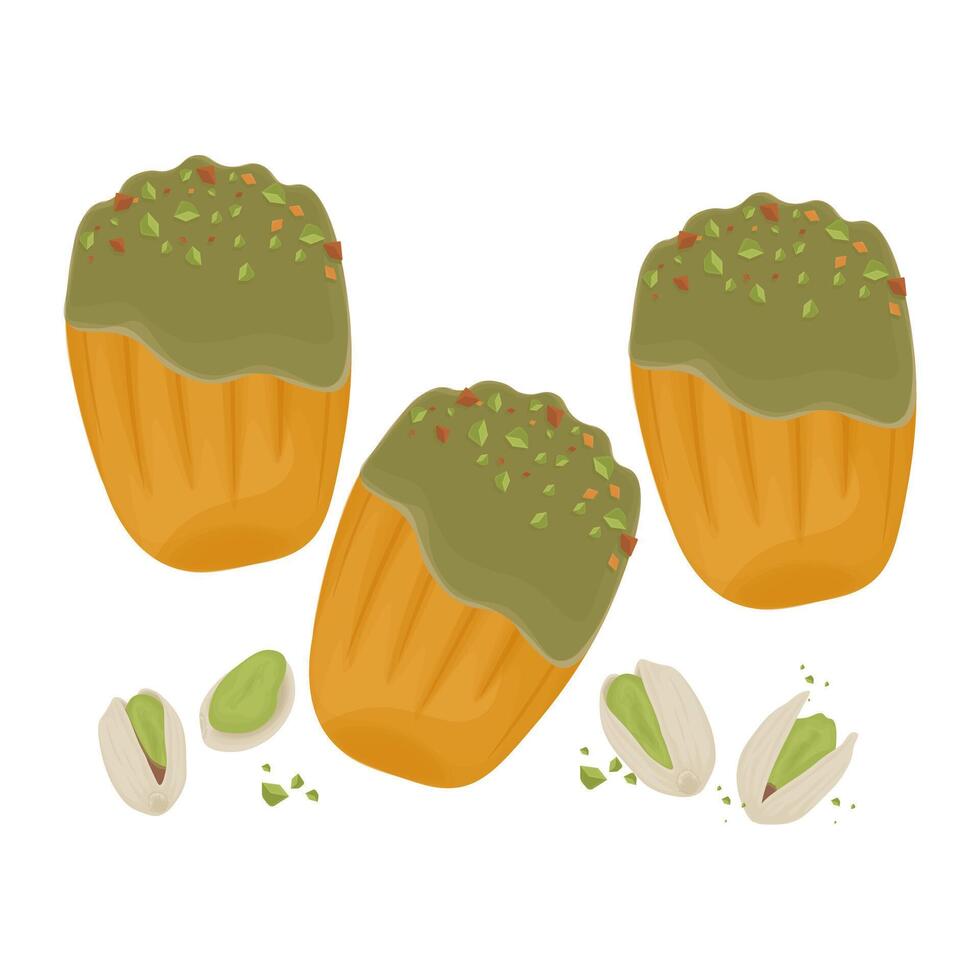 Illustration Logo Clip Art Pistachio Madeleine Cookies vector