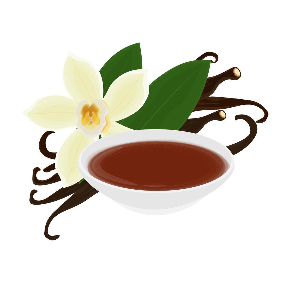 Illustration logo clip art Vanilla Extract and Vanilla flower vector