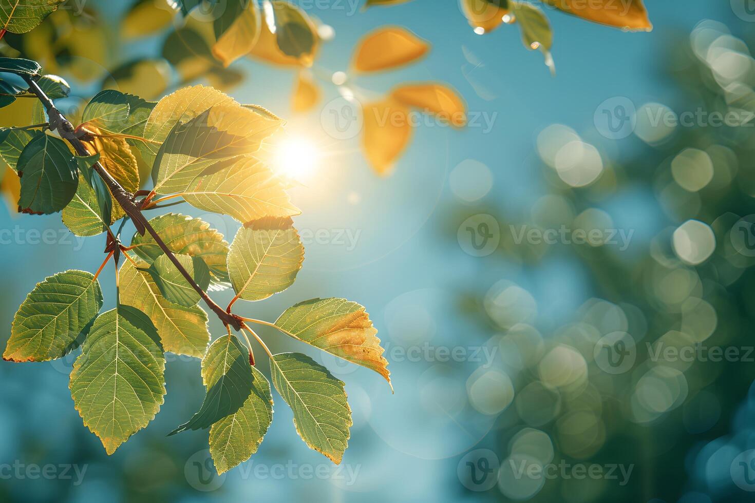 Close-Up of Sunlit Leaves with Beautiful Bokeh Background for Nature and Environmental Print Designs photo