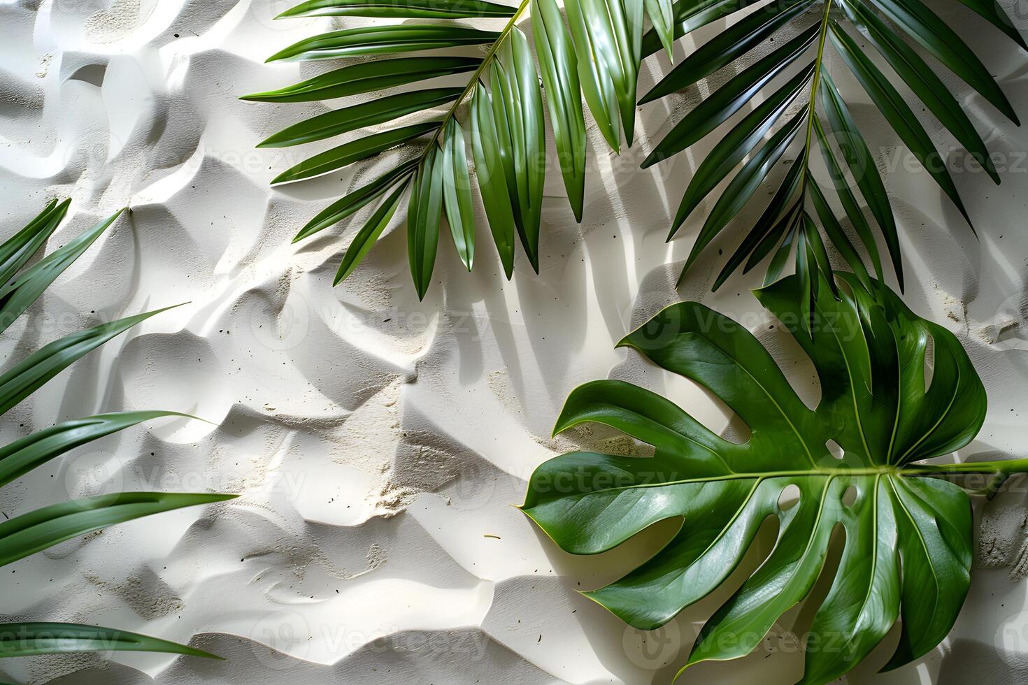Tropical Leaves on Textured White Background Nature, Organic Design, Botanical, Summer Concept photo